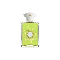 tester amouage sunshine man